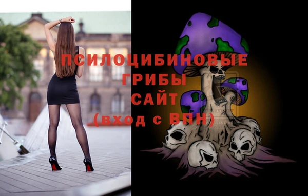 стаф Инта