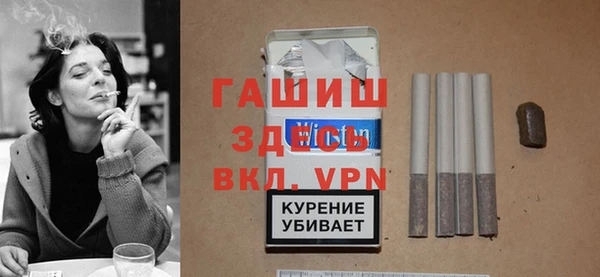 стаф Инта