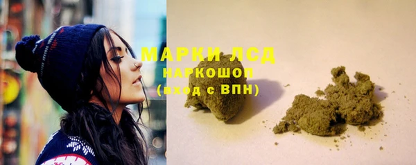 стаф Инта