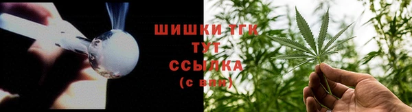 ешки Каменногорск