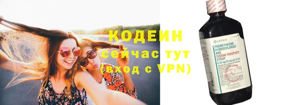 мяу мяу мука Инсар