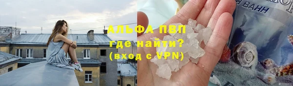 apvp Иннополис