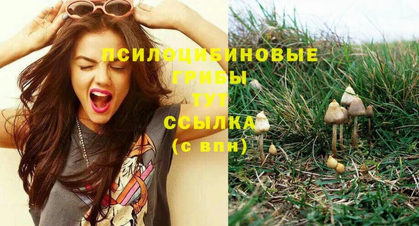 apvp Иннополис