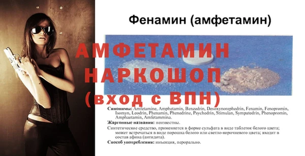 стаф Инта