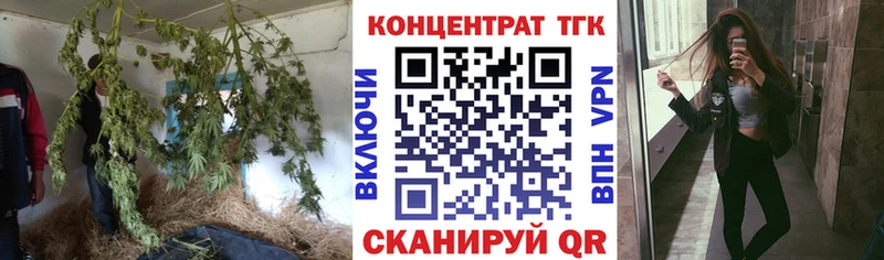 купить закладку  Княгинино  darknet наркотические препараты  Дистиллят ТГК THC oil 