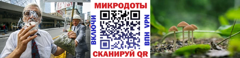 darknet наркотические препараты  дарнет шоп  Княгинино  Псилоцибиновые грибы Psilocybe 